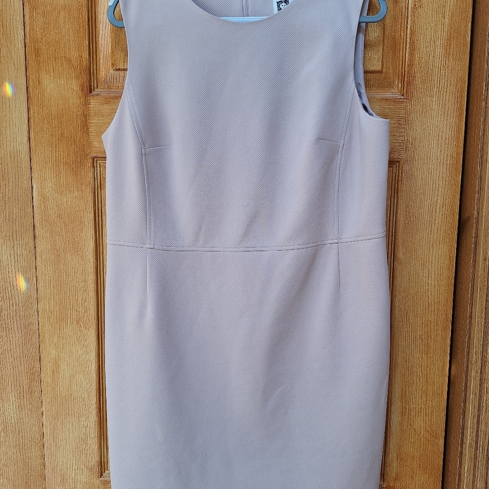 Sleeveless Sheath Dress